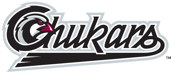 Idaho Falls Chukars 2004-Pres Wordmark Logo iron on transfers for clothing